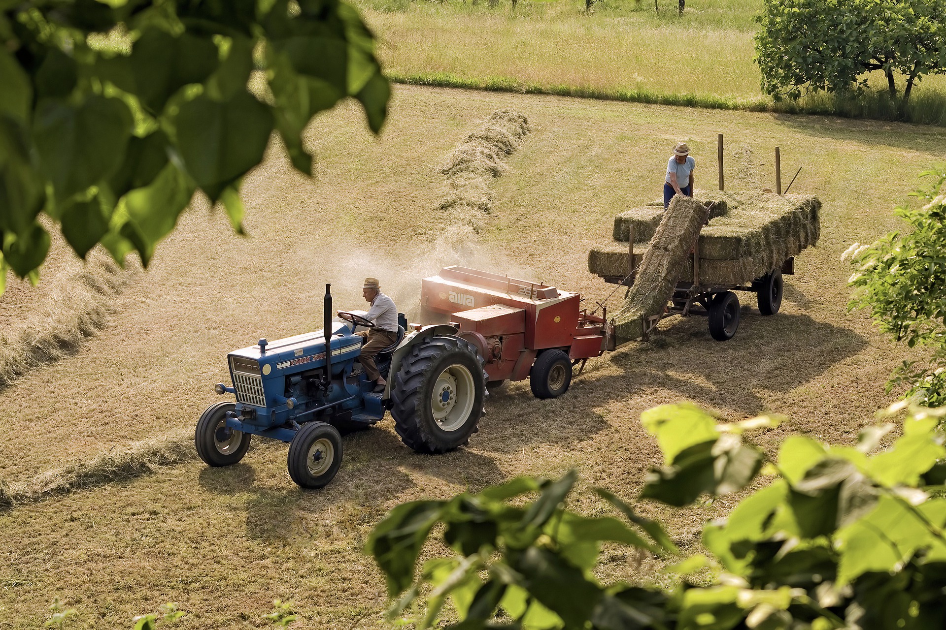 Bilden visar en veterantraktor. Hitta rätt reservdelar till veterantraktor och traktorer som exempelvis toppstång.